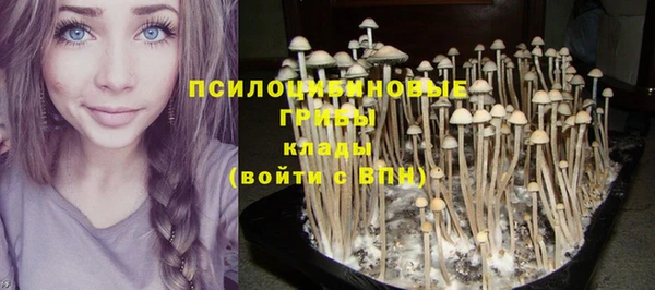 винт Каменногорск
